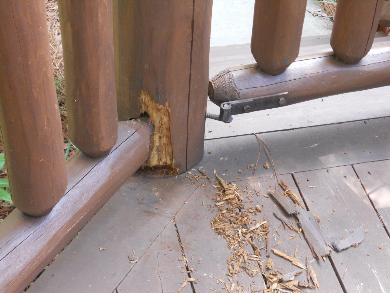 Railing rot #2