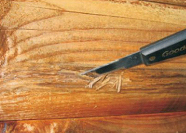 Important Step When Repairing Wood Rot